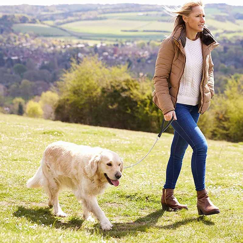 120cm Heavy Duty Anti-bite Dog Giant Chain Leash with Leather Handle Chain Dog Leash Durable Metal Chew Proof Dog Training LeashXJ250218