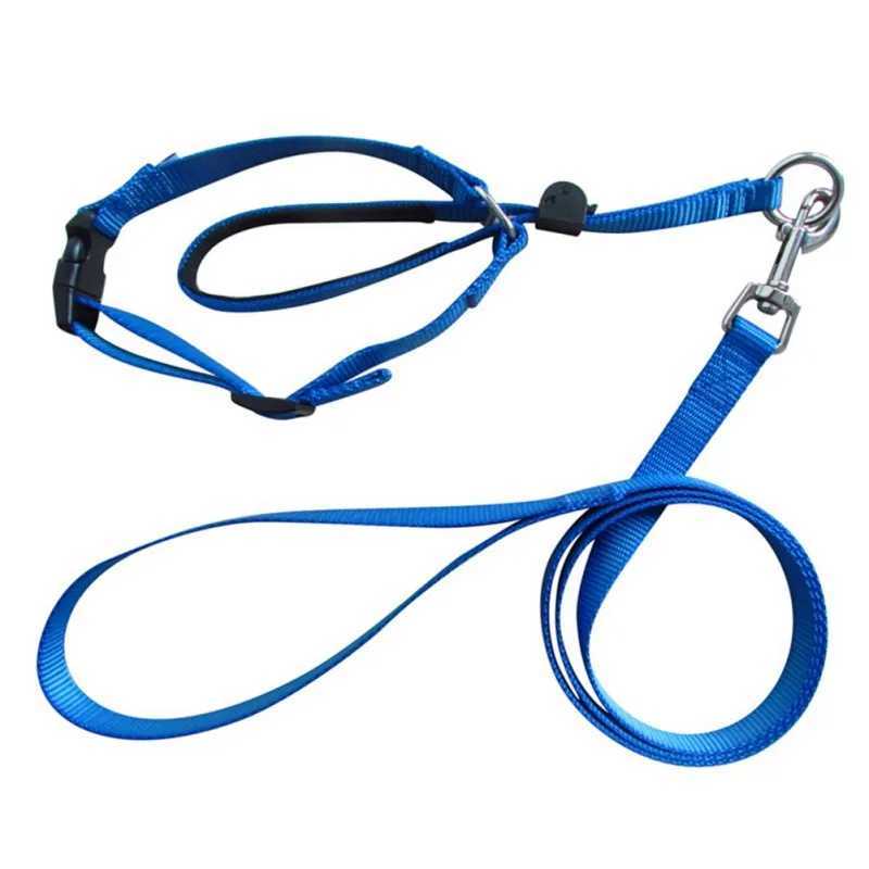 Gentle Leader Harness Dog Halter Halti Training Head Collar Nylon Breakaway All Seasons Usefull Harnesses LeadXJ250218