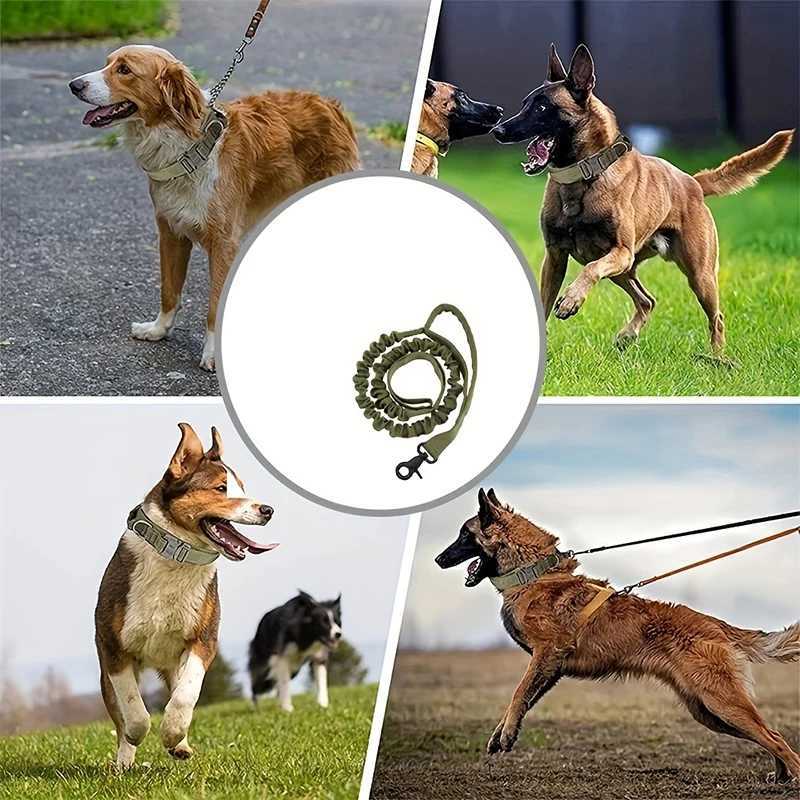 Dog Tactical Leash Outdoor Training Dog Leash 1000D Nylon Elastic LeashXJ250218