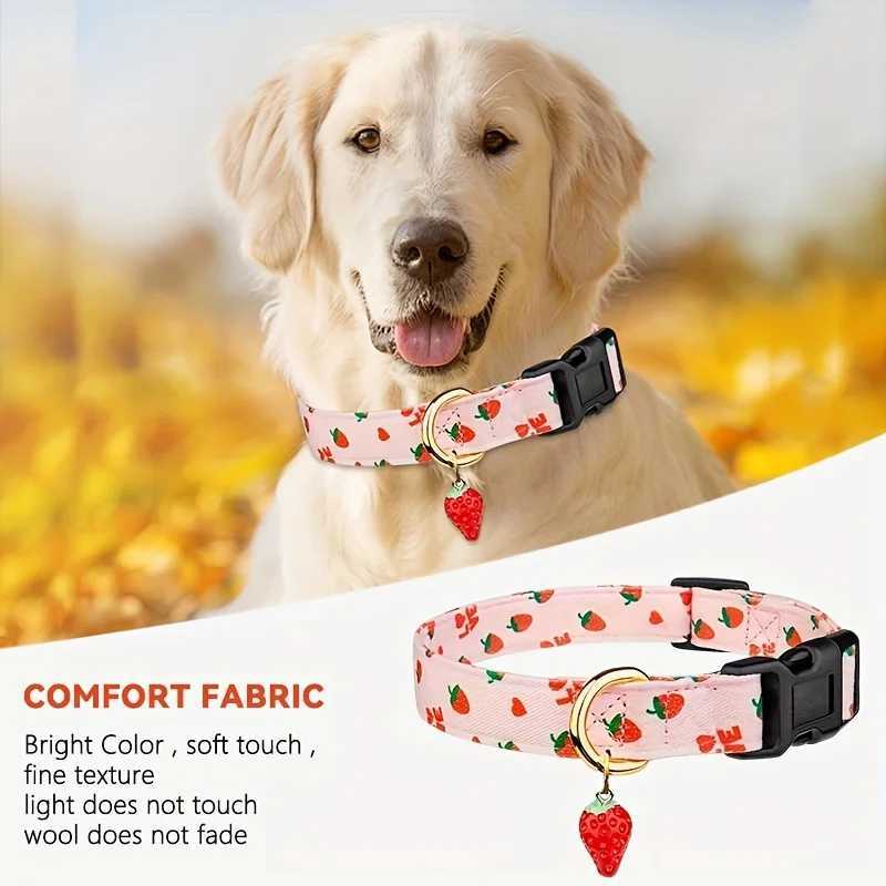 Fruit Print Polyester Dog Collar Set with Adjustable Buckles and Zinc Alloy Rings Stylish and Durable Machine Washable W250219