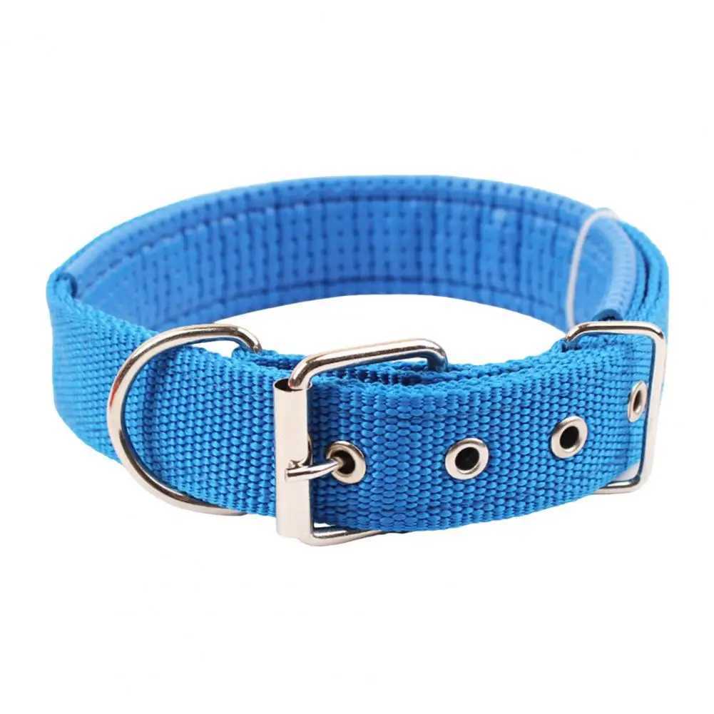 Pet Collar Adjustable Nylon Dog Neck Circle Long-lasting Pet Neck Strap with Traction Ring Pet SuppliesXJ250218