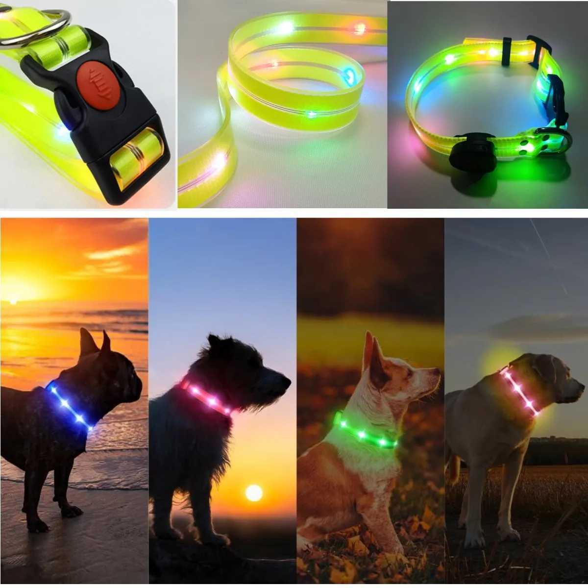 New Adjustable Led Glowing Pet Dog Collar PVC Waterproof Anti Dirty Easy To Clean for Big Small Dogs Puppy Cat Luminous Collar W250219
