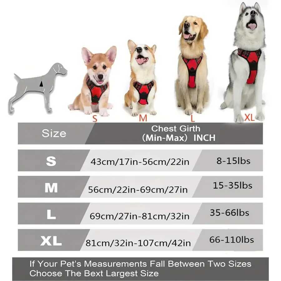 Dog Collars Harness Big Vests Leash Pet Shop Everything for Dogs Leather Puppy Accessories Medium Small SetXJ250218