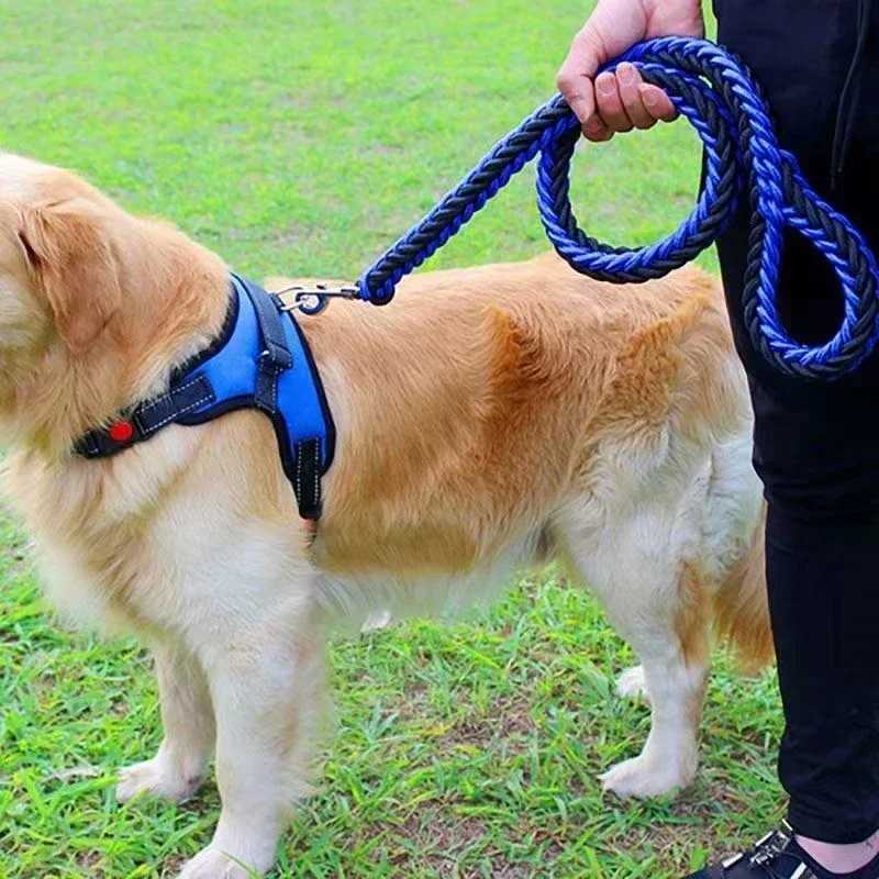 Nylon Dog Harness Leash For Medium Large Dogs Leads Pet Training Running Walking Safety Mountain Climb Dog Leashes Ropes supplyXJ250218