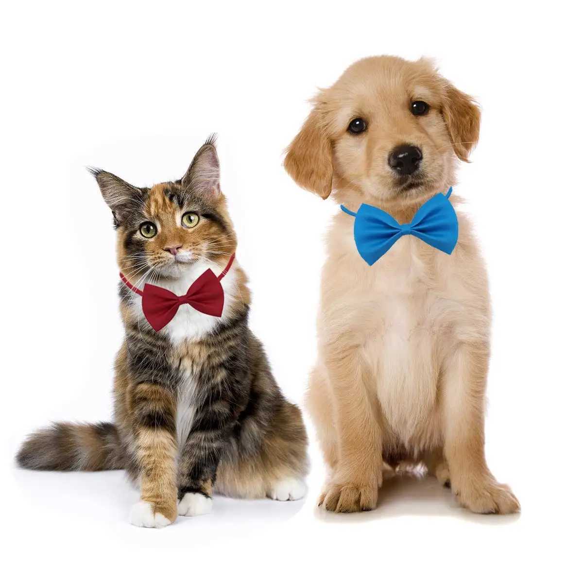 50/100 pieces dog bow mixed color wholesale pet beauty accessories rabbit cat dog bow tie adjustable bow pet products W250219