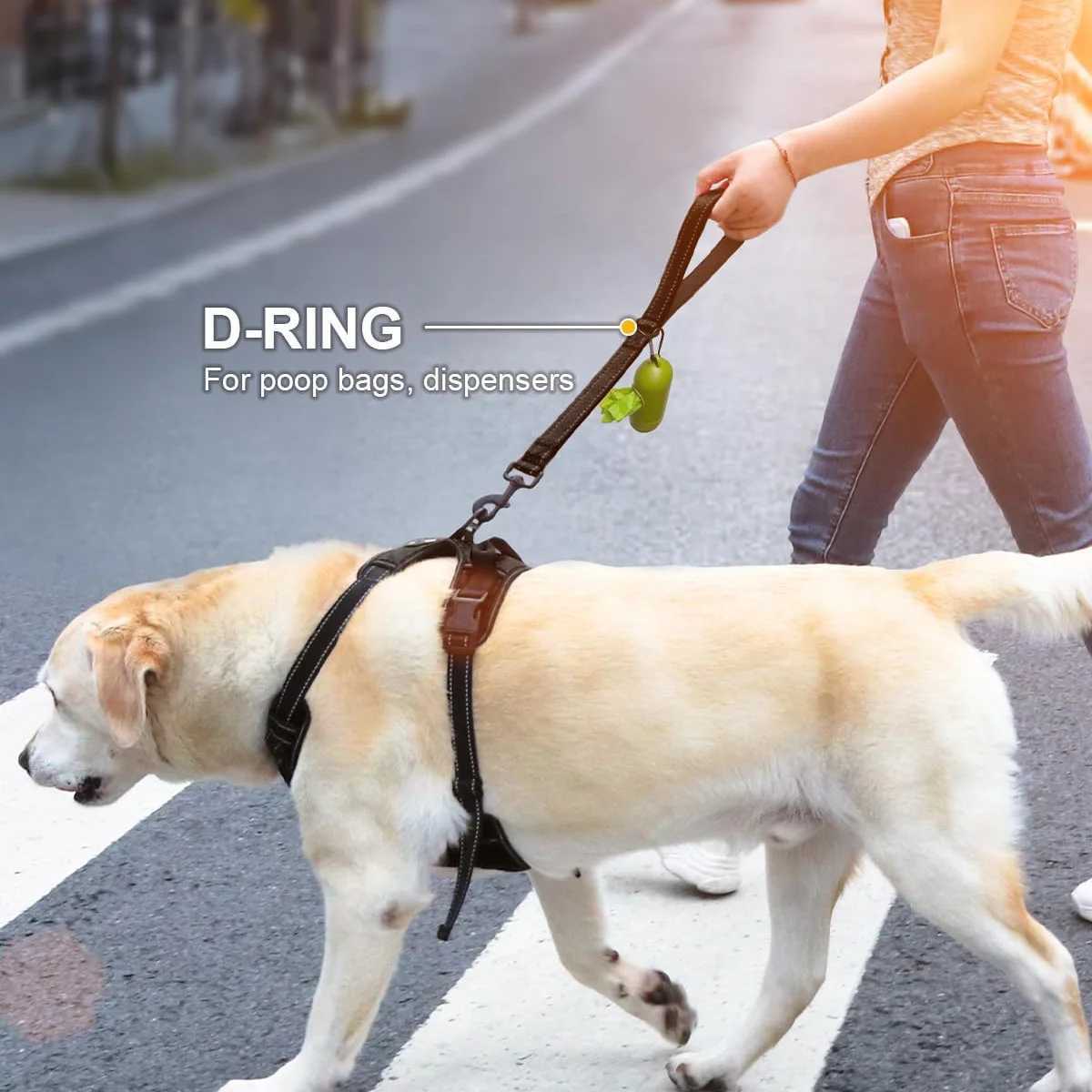 Taglory Short Dog Leash Traffic Padded Handle Heavy Duty Short Nylon Dog Lead For Training Control Reflective Threads Pet LeaXJ250218