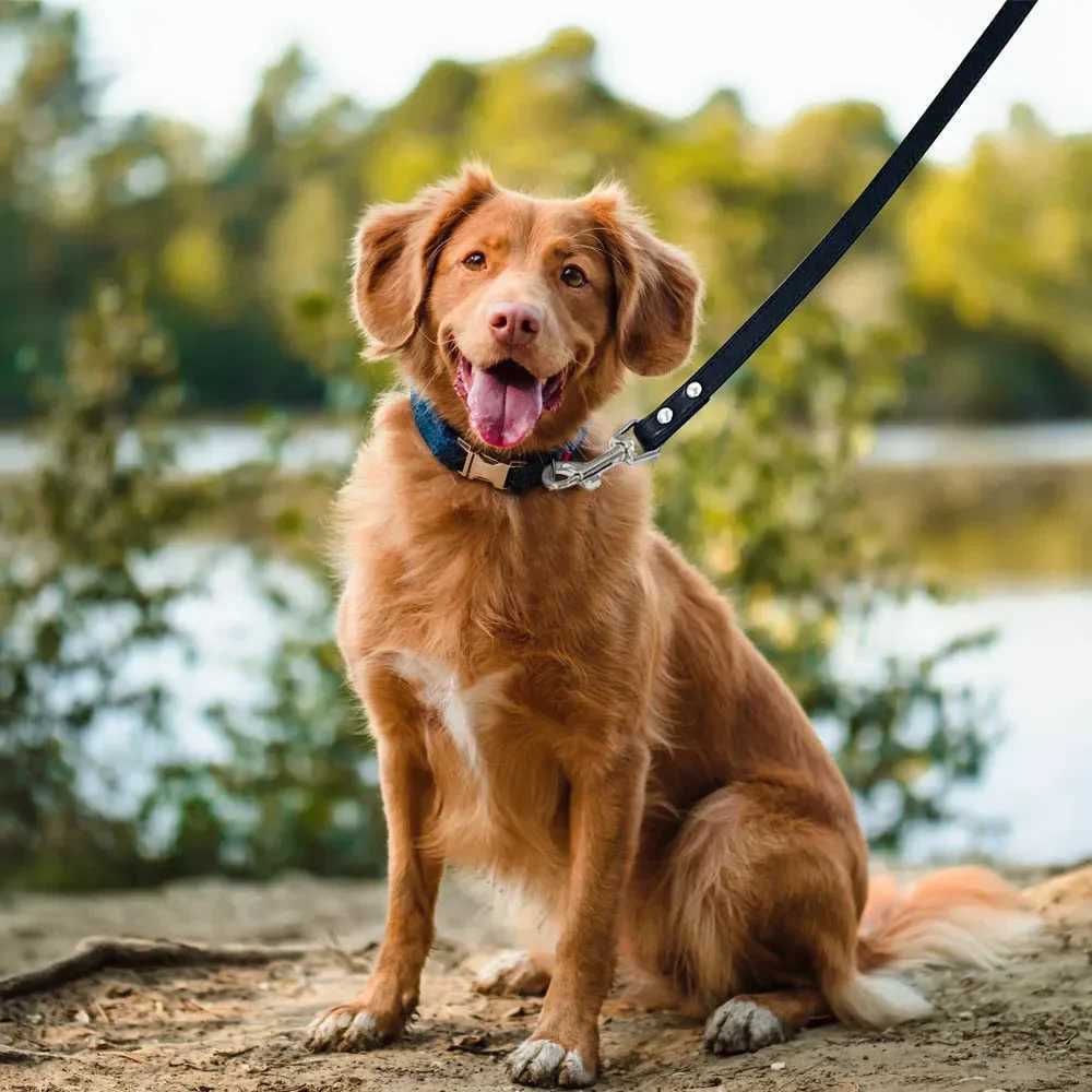 Leather Cat Dog Leashes Colorful Puppy Walking Leashes Harness Collar Lead Rope For Small Medium Large Dogs Pet Supplies 1.2MXJ250218