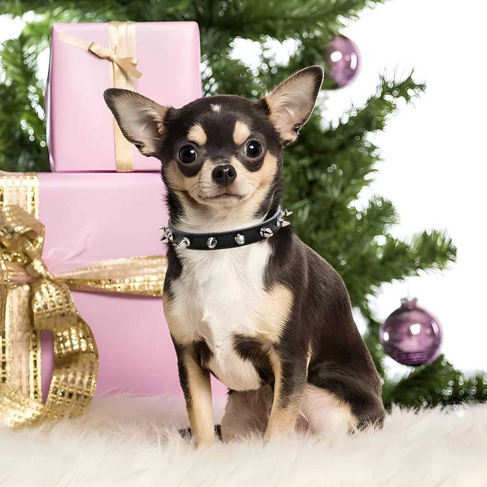 Dog Collars for Small Dogs Spike Rivet Pu Leather Studded Spiked Puppy Collar for Small Breed Pet Boy Dogs Male Cat ChihuahuaXJ250218