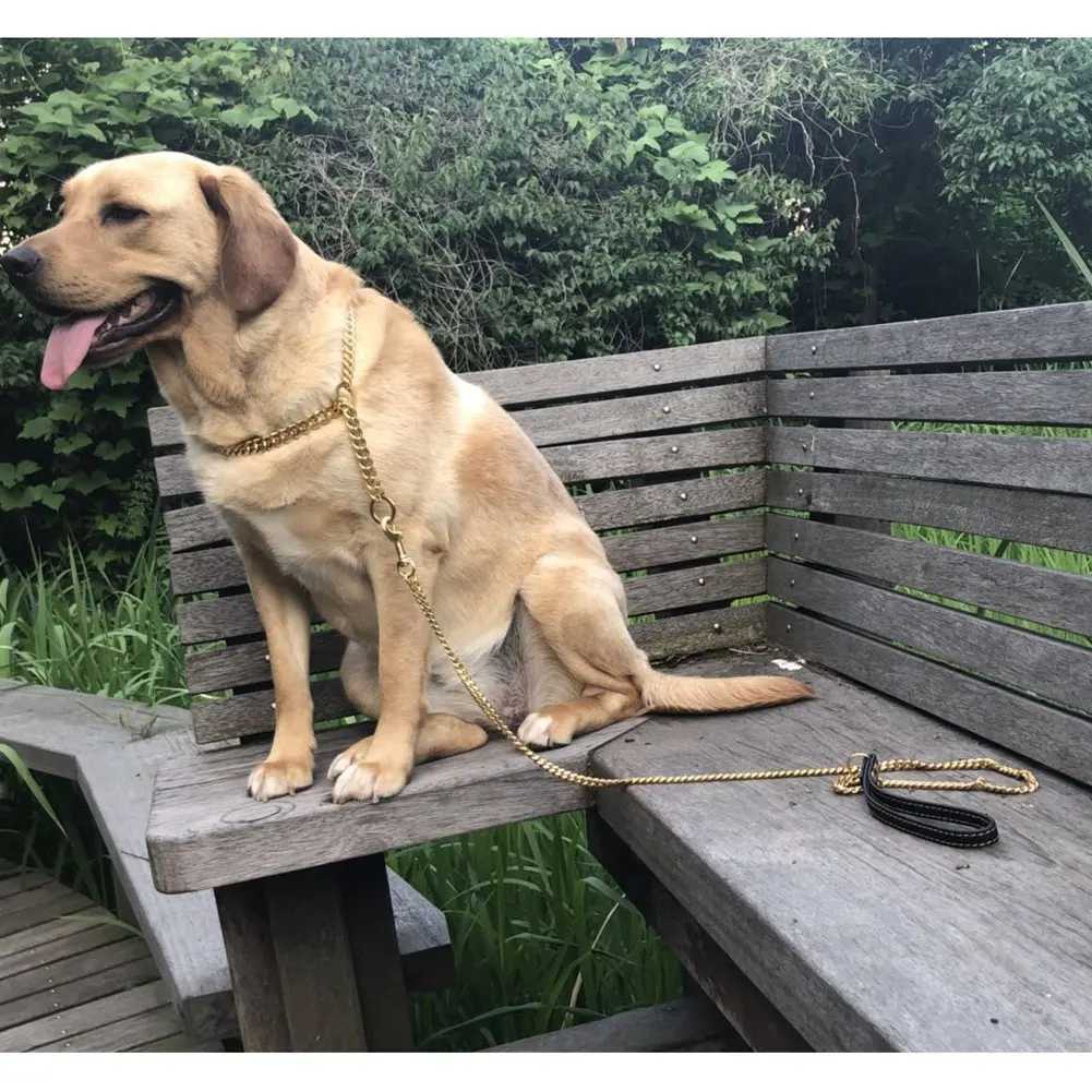 10MM Gold Dog Leash Stainless Steel Metal Chew Proof Dog Lead Chain for Dogs Pet Traction RopeXJ250218