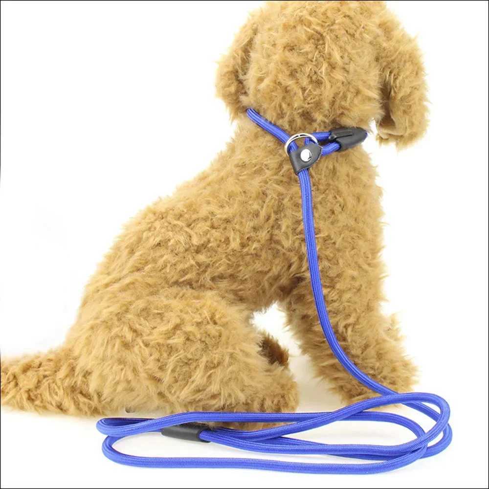 Dog Leash Slip Chains Collar Leads Strong Heavy Duty Nylon Rope No Pull Pet Training Leash for Small Dogs Puppy Traction RopeXJ250218