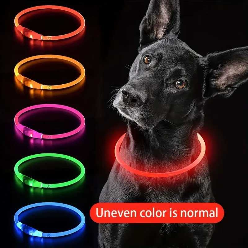 Led Dog Collar Luminous Usb Cat Dog Collar 3 Modes Led Light Glowing Loss Prevention LED Collar For Dogs Pet Dog Accessories W250219