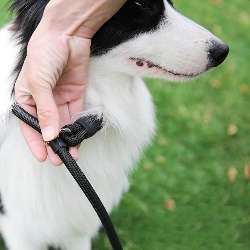 Nylon Dog Training Leash P Chain Pet Outdoor Walking Supplies for Small Medium Dogs Border Collie Golden Retriever PuppyXJ250218