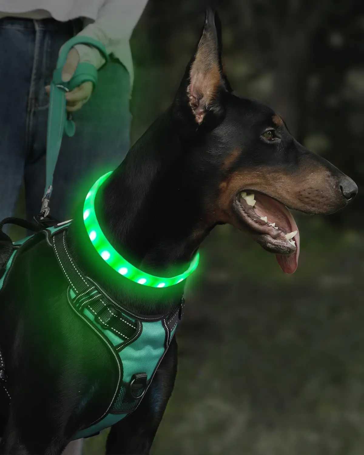 Lightweight USB Rechargeable Collar for Large Medium and Small Dogs Glowing Dog Collar 9 Flashing Modes Soft Silicone Glowing W250219