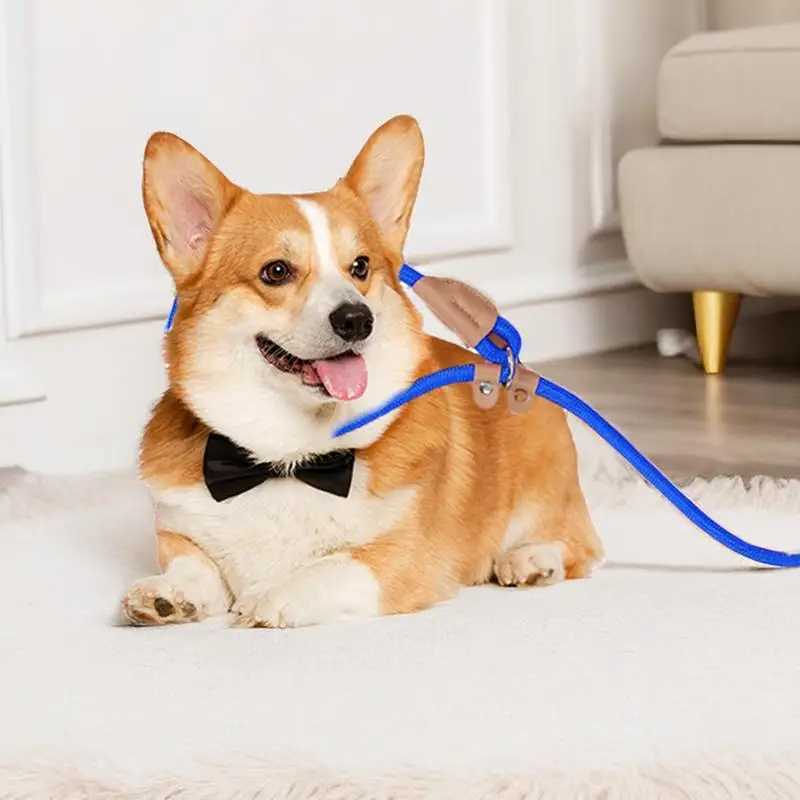 Dog Slip Lead Anti-Wear Comfortable Slip Leashes Training 1.5m Woven Lead Rope Dog Accessories For Dog Walking Training RunningXJ250218