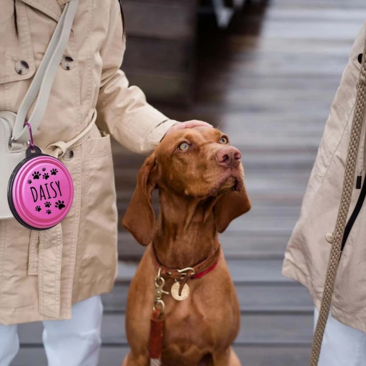 Personalized Silicone Foldable Travel Dog Bowl - Collapsible Water & Food Containers-350ml