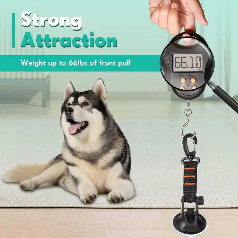 Dog Bathing Tether Adjustable Puppy Tub Restraint Leash Pet Bath Accessories with Buckle and Suction Cup for Pet Dog Cat ShowerXJ250218