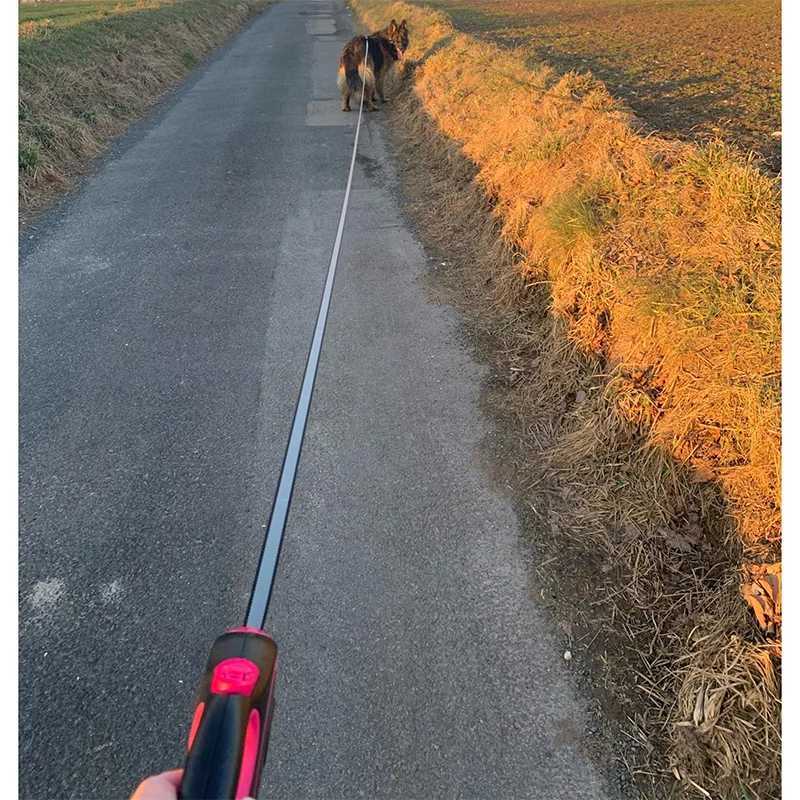 5m 8m 50kg Dog Leash Retractable Roulette Collar for Small Big Dogs Accessories Adjustable Durable Walking Hiking Bulldog RopeXJ250218