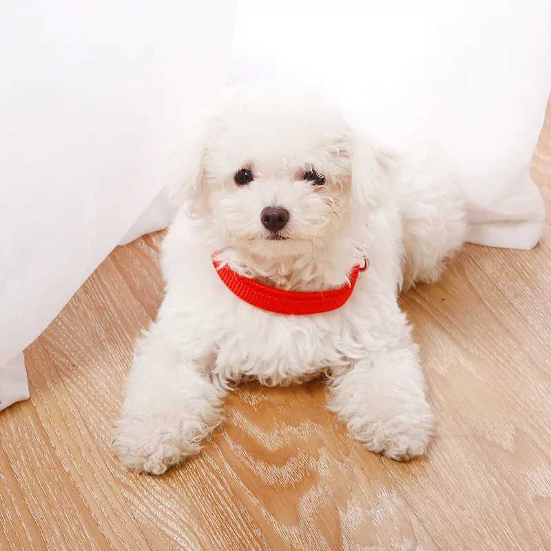 Adjustable Nylon Pet Dog Collar for Small Large Dogs Sturdy Puppy Big Dog Collars Pitbull Pug Products for Pets Dog Necklace W250219