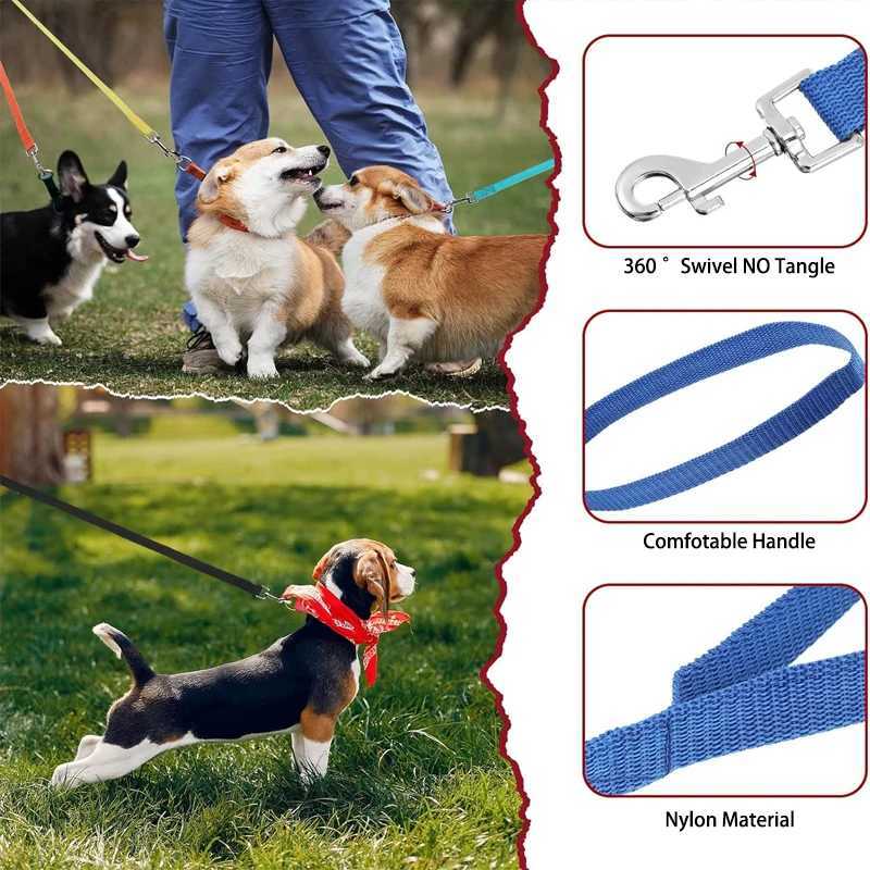 Nylon Dog Training Leashes Walking Pet Leash Rope Traction Rope for Small Large Dogs 1.5M /1.8M /3M /4.5M/ 6M /10M Pet SuppliesXJ250218