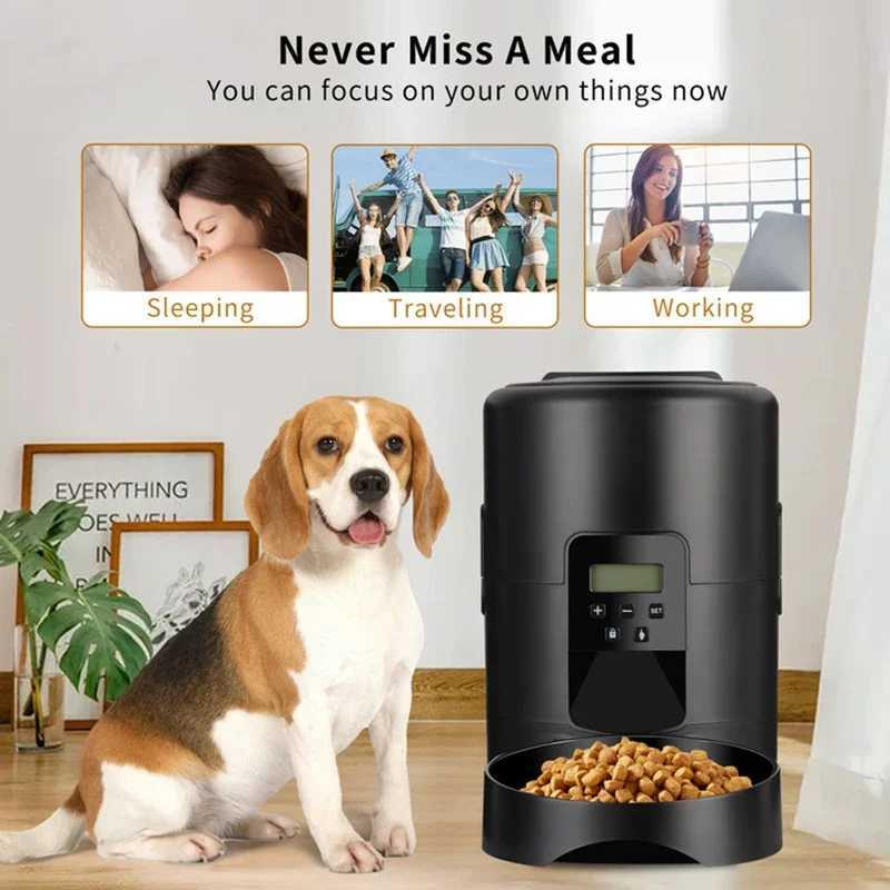 Dog Feeders 2L Automatic Pet Cat Feeder Smart Slow Dog Feeder Push Button Large Capacity Timer Cat Food Auto Dispenser Dry Food Bowl H250218