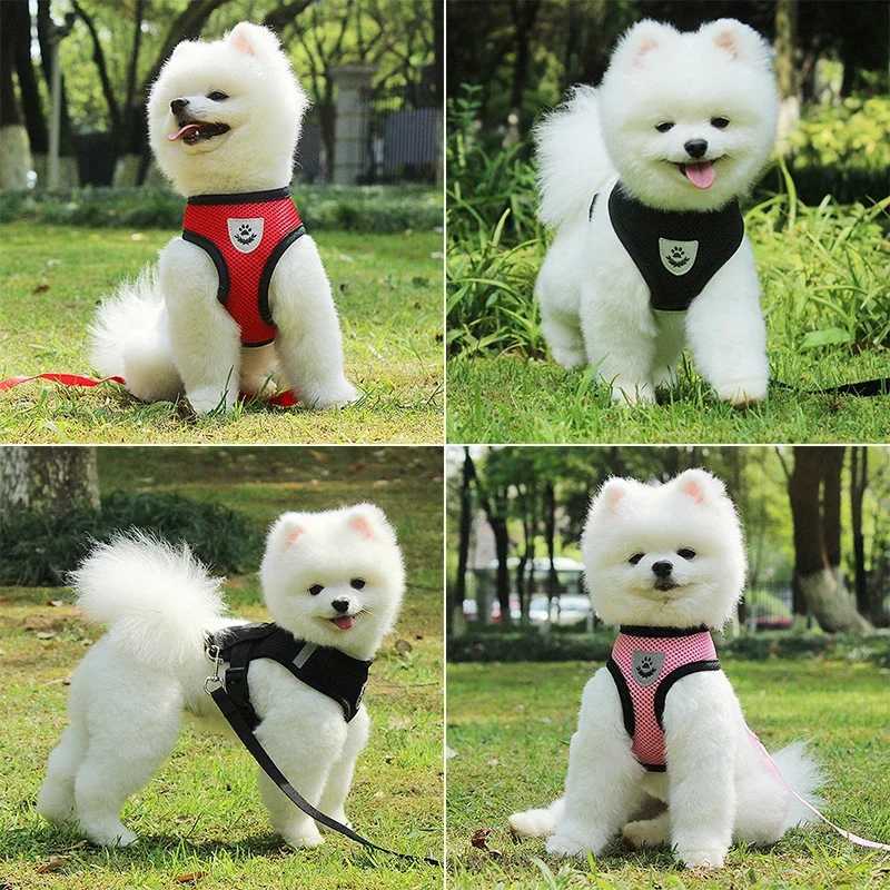 Puppy Cat Vest Harness With Leash Breathable Mesh Pet Chest Straps For Chihuahua York Harnesses Reflective Bulldog Walking LeashXJ250218