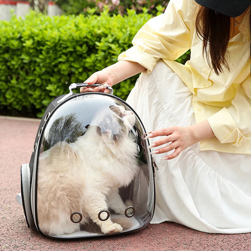 Outdoor Pet Cat s Backpack Transparent Space Capsule Portable Travel Bag Cat Back Pack Breathable Cat Carring Bag 250217