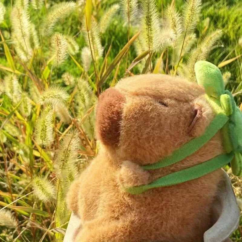 23cm Capybara Plush Toy Simulation Capibara Anime Fluffty Toy Cute Doll Stuffed Animals Soft Plush Doll Christmas Gifts for KidsT250219