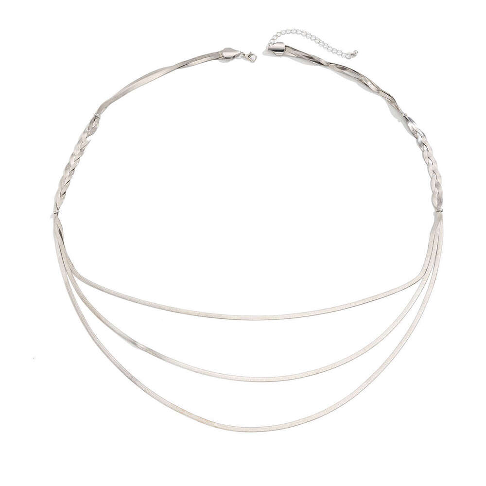 Jewelry Fashion Metallic Tassel Snake Bone Chain Set Punk Style Simple Multi Layer Long Necklace