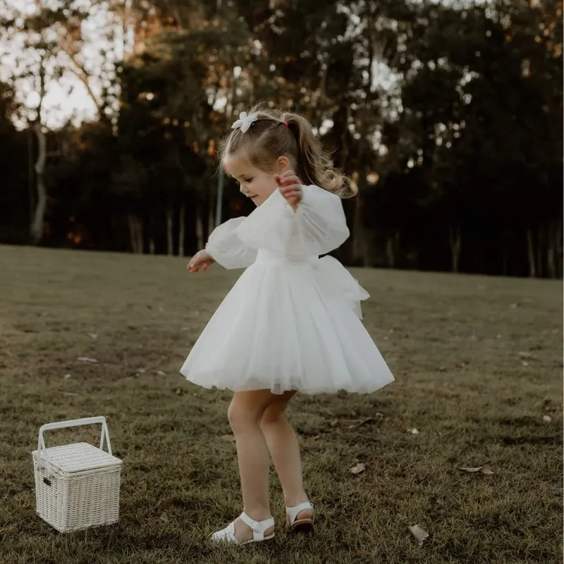 Baby Girl Princess Mesh Tutu Dress White Infant Toddler Child Long Sleeve Tulle Vestido Wedding Birthday Party Baby Clothes 2-6Y 250220