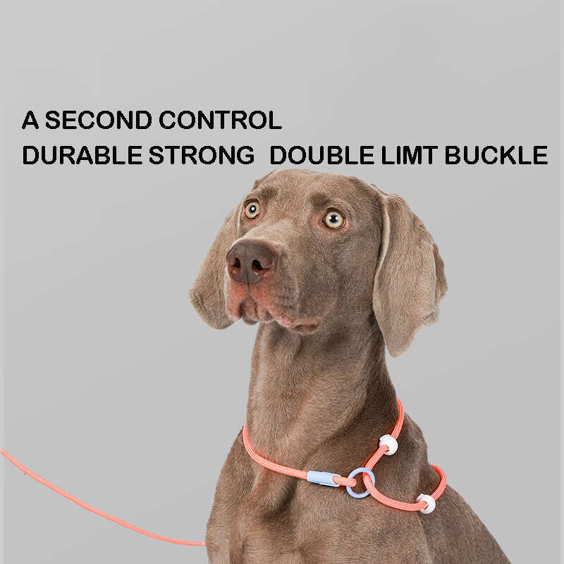 DHpet Competition Grade P Chain Dog Leash for All Sizes Dogs - Adjustable Anti-Pull Training Leash with Comfortable Non-Slip Round Handle, Multiple St