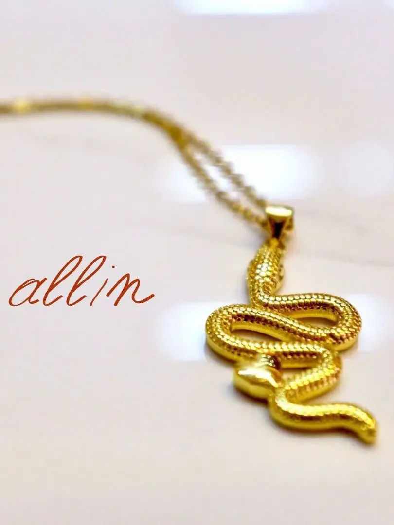 Snake style fashion neutral wind collarbone chain necklace for women 250220