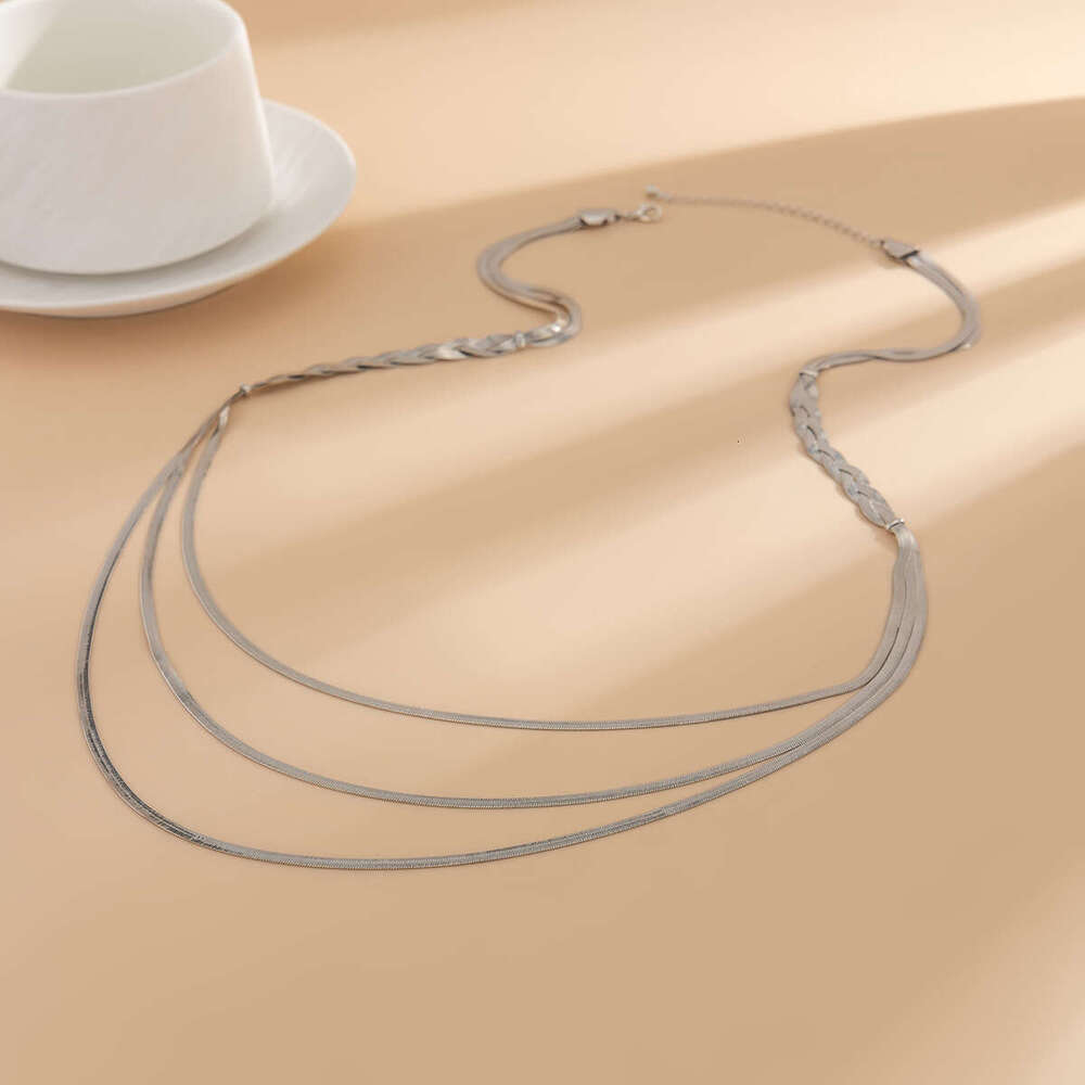 Jewelry Fashion Metallic Tassel Snake Bone Chain Set Punk Style Simple Multi Layer Long Necklace