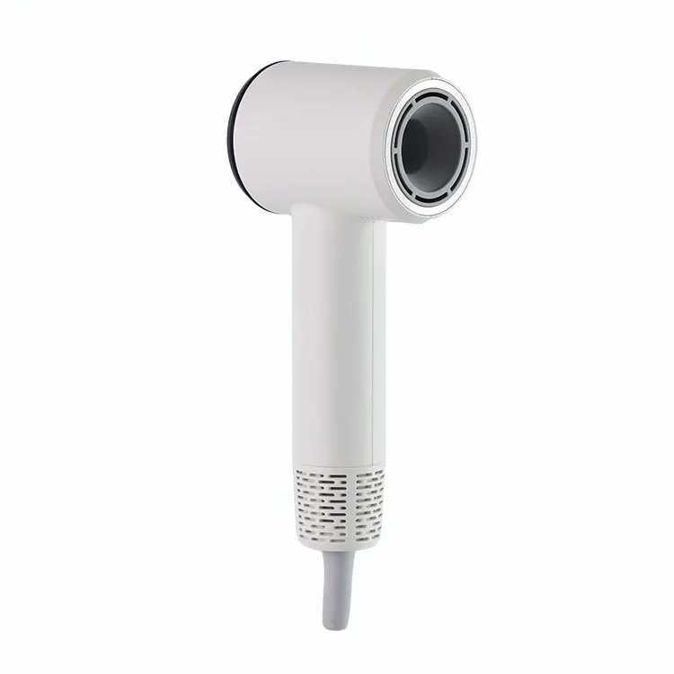 Negative Ionic Blow Dryer 0000 RPM Brushless Motor High Speed Hair Dryer Low Noise Thermo-Control Hairdryer for Home Travel W250220