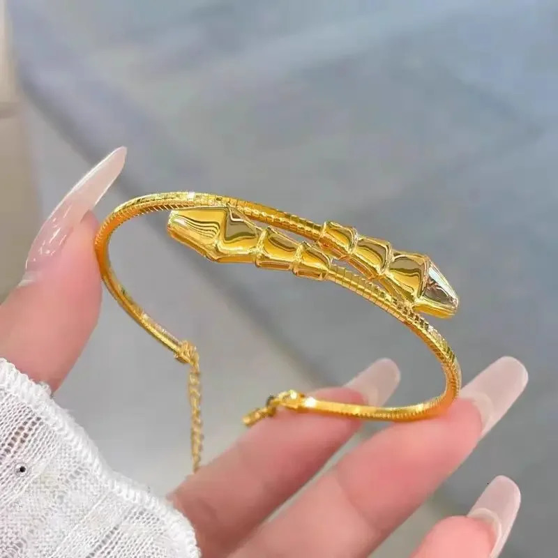 Fashion 24K Real GoldCNC Snake Bracelet Zodiac Double Snake Bracelet Decorated with 999 Gold Bracelet Gift 250220