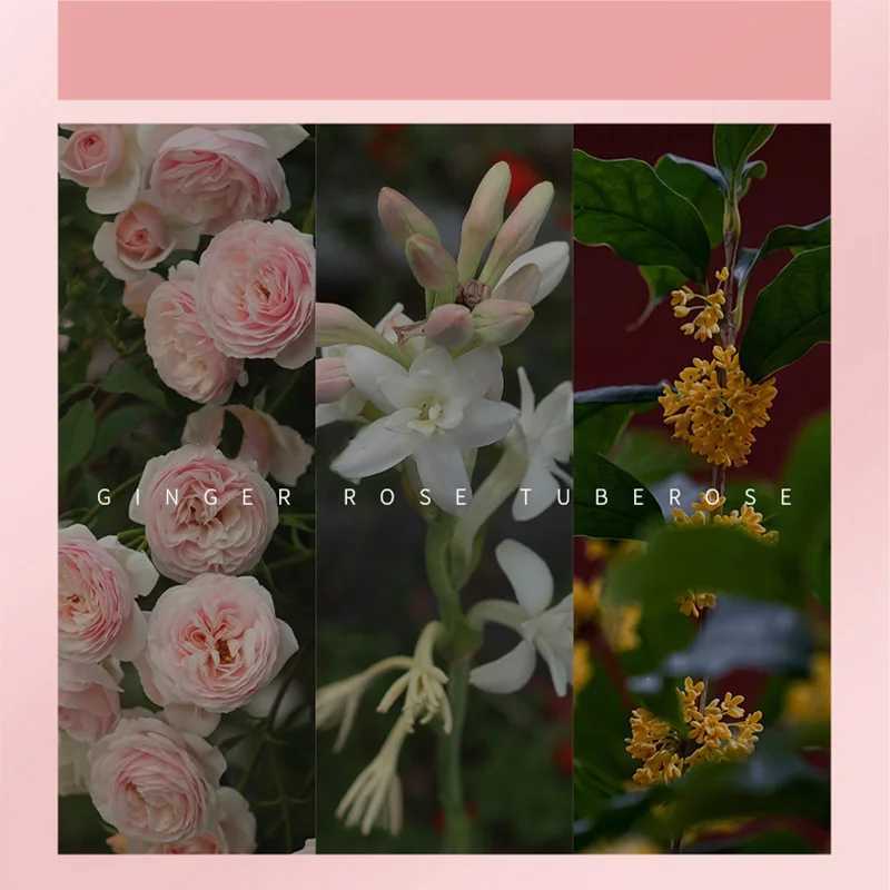 Flower gift box Womens perfume fog Tuberose perfume Oriental flower fragrance fresh Cologne durable perfumeXJ250409