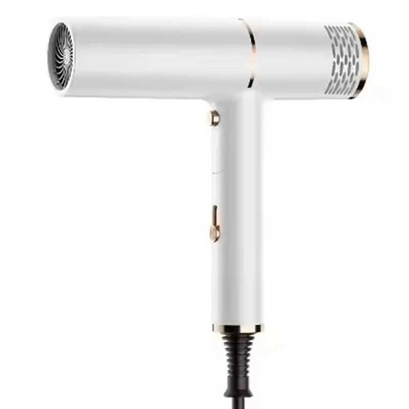 2024 New Style Super Ionic Portable High-Speed Brushless Hair Dryer AC Motor Noiseless Multi-Speed Electric Power W250220
