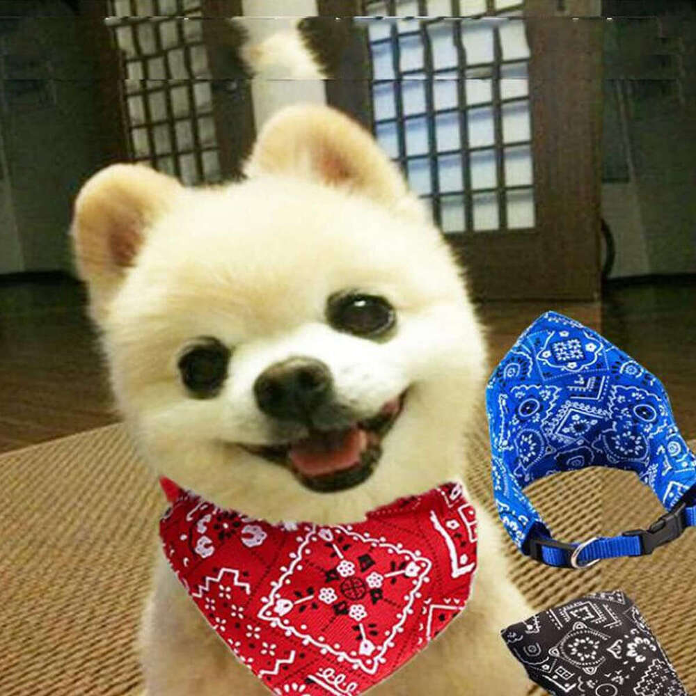 Dhpet Pet Dog Bibs Do Not Wet Hair Cat Triangular Towel--Four-piece set