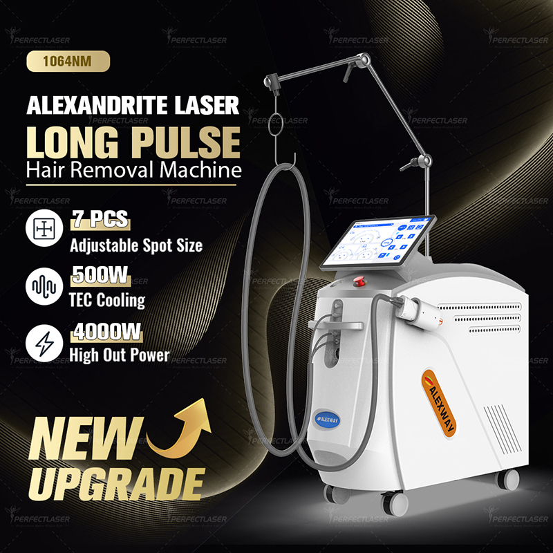 1064nm Alexandrite Laser Hair Removal Machine Lazer Hair Remover for Ladies Skin Rejuvenation Nd Yag TEC Cooling Long Pulse Device