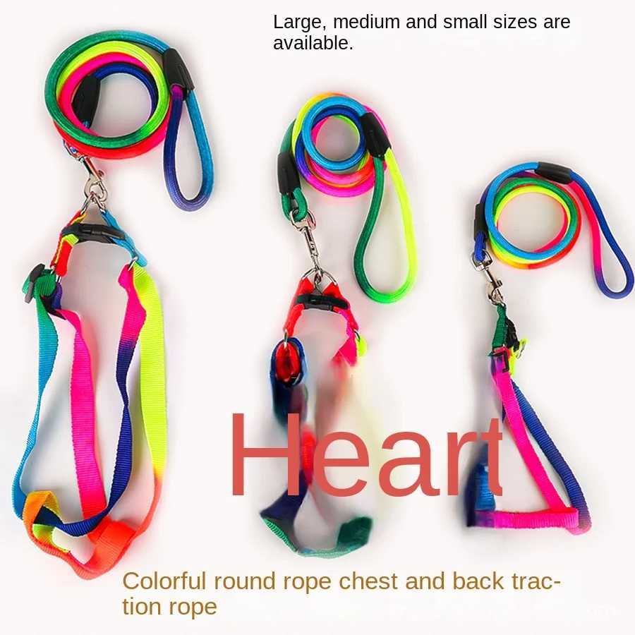 Dog Pet Leash + Harness Two-Piece Set Cat Leash Colorful Pet Harness Round Rainbow Color Cat Leash Dog Chain Y250704