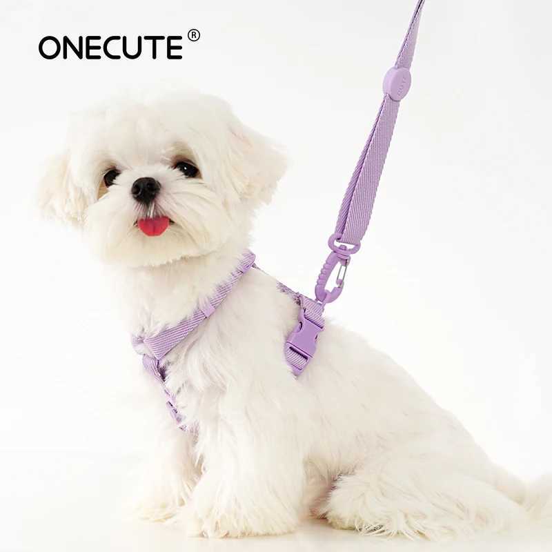dog harness dog collar dog leash Macaron color pet accessories small dog accessories small dog harness dog supplies Y250704
