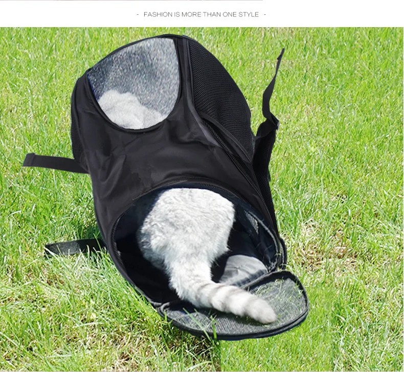 Foldable Outdoor Travel Pet Carrier - Large Capacity Breathable Mesh Dog Bag