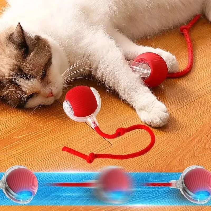Hot Electric Toys Automatic Rolg Ball Rechargeable Smart Pet Interactive Plush Toy Dog Cat Training Imitate Mouse