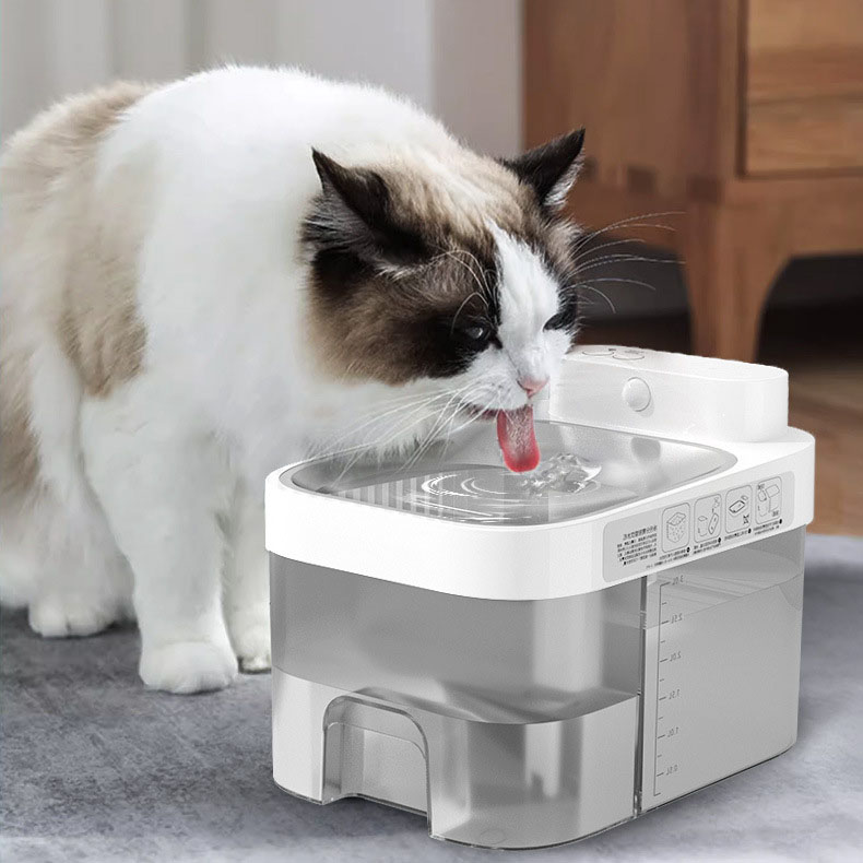 Clean Separation Pet Fountain Fresh Water Zero Contamination