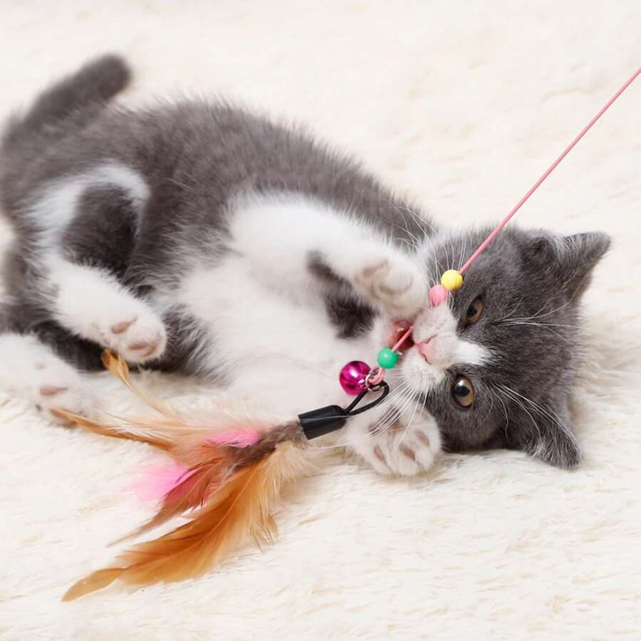 1pc Pet Teaser Toy Feather Interactive Cat Stick Training,Kitten Wand Toys with Beads Bells