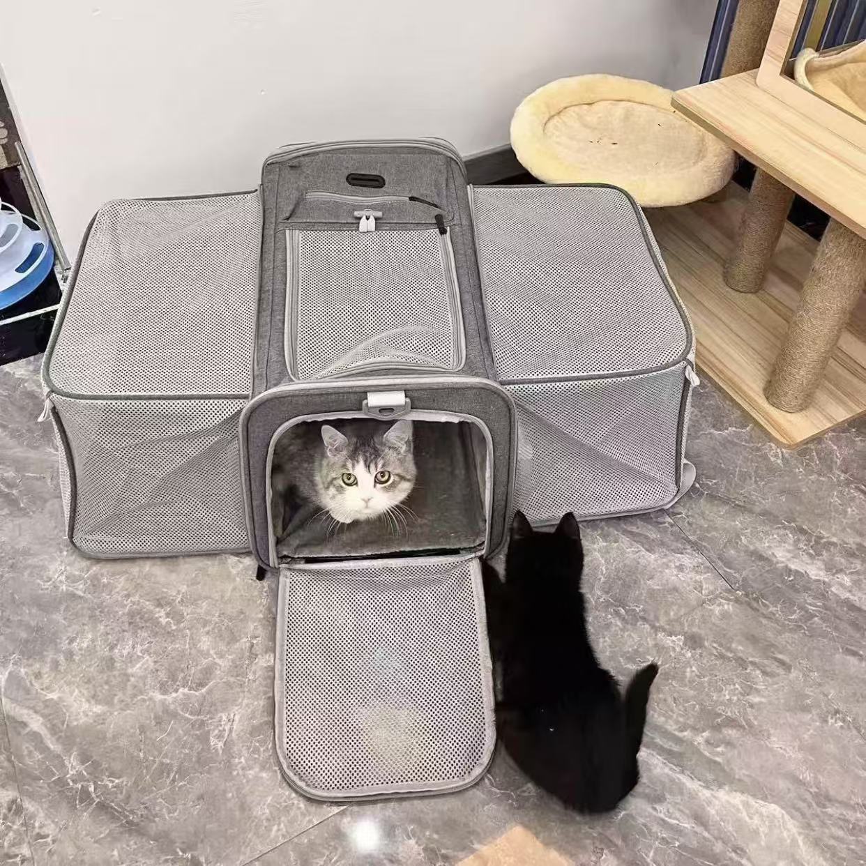 Cat bag for outdoor use, portable and breathable, large size for two cats and dogs, large capacity for carrying pets, and a cat cage