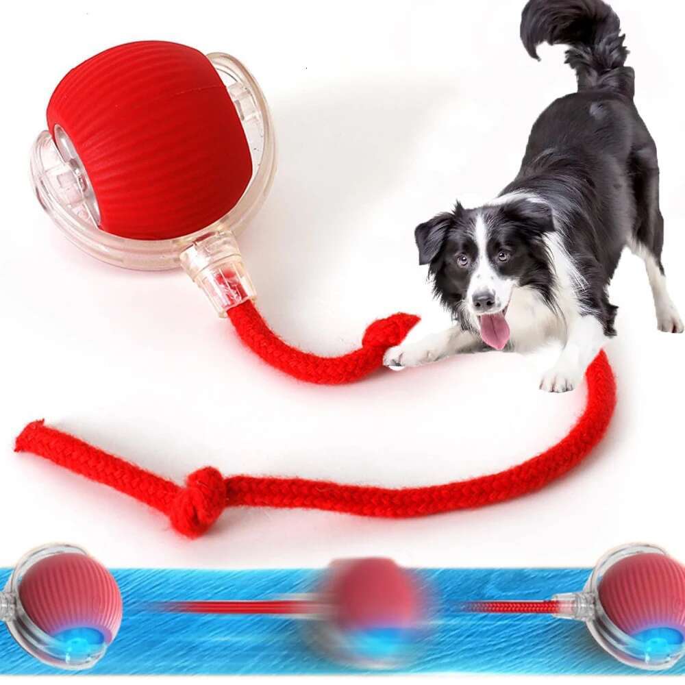 Hot Electric Toys Automatic Rolg Ball Rechargeable Smart Pet Interactive Plush Toy Dog Cat Training Imitate Mouse