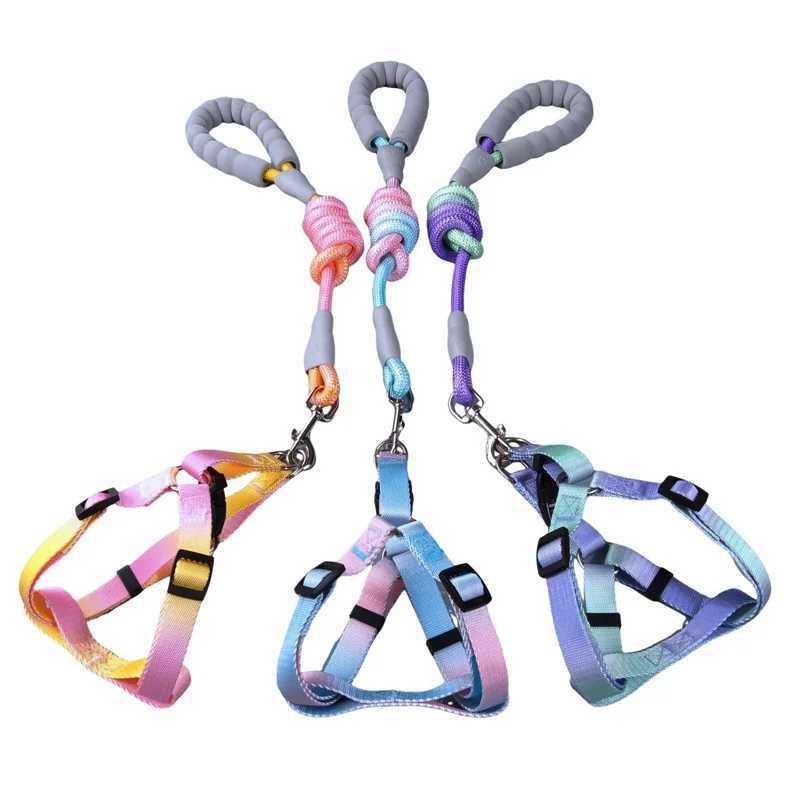 Gradual Colorful Dog Harness With Leash and Dog Leash Set Nylon Adjustable Dog Harness Walking Leash Strap Small Medium Large Size Y250704