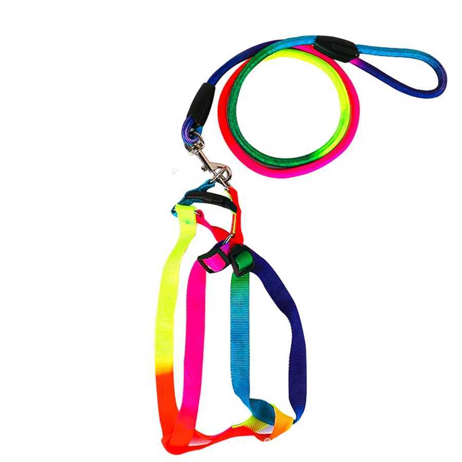 Dog Pet Leash + Harness Two-Piece Set Cat Leash Colorful Pet Harness Round Rainbow Color Cat Leash Dog Chain Y250704