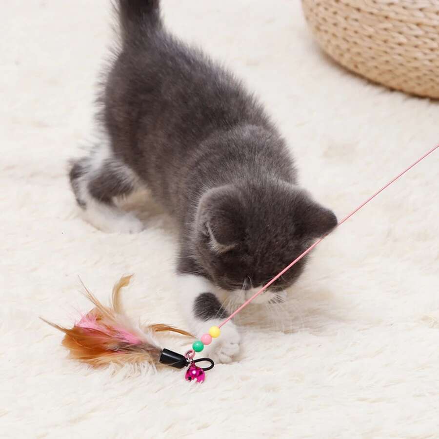 1pc Pet Teaser Toy Feather Interactive Cat Stick Training,Kitten Wand Toys with Beads Bells