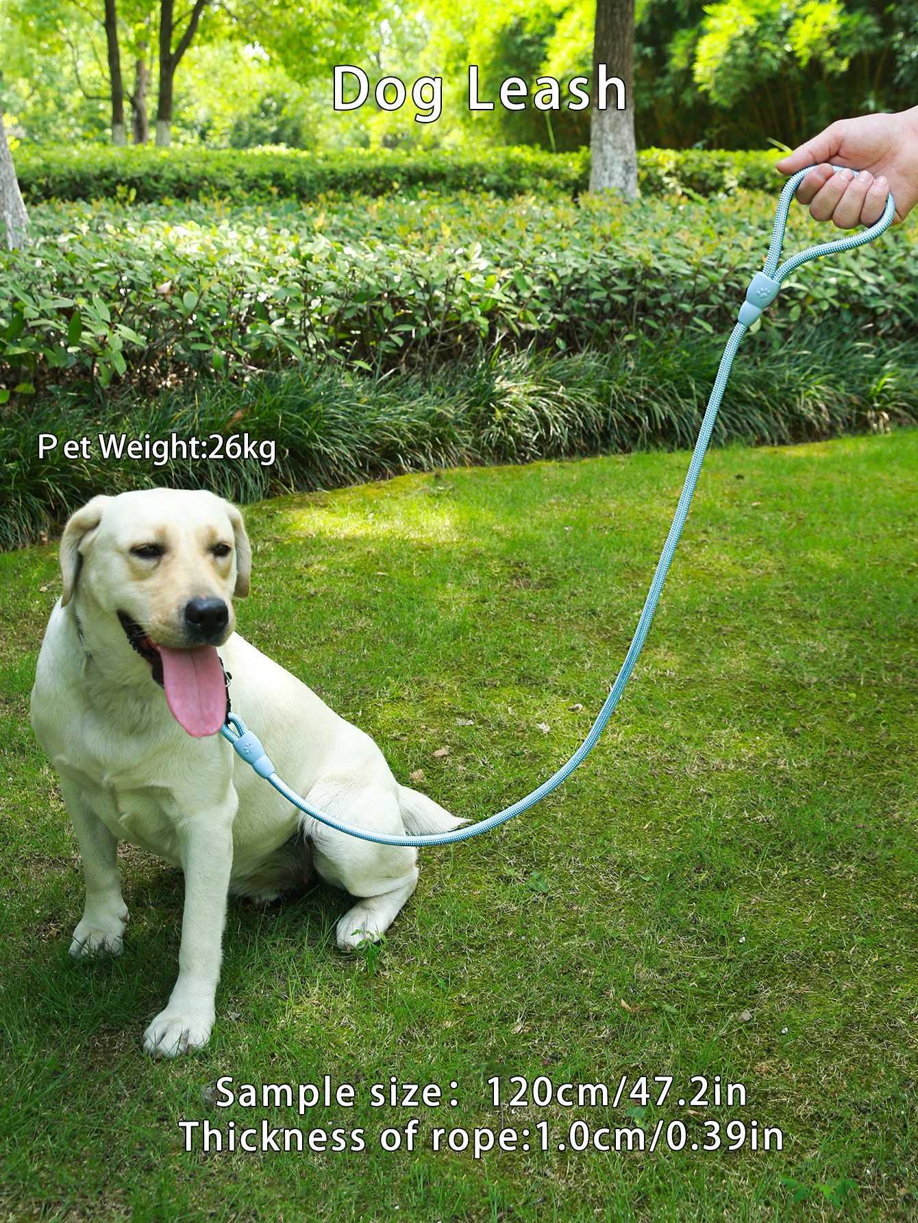 1PC Light Blue Round Rope Anti-Slip Pet Cat and Dog Traction Belt Traction Rope Safety Belt Y250704